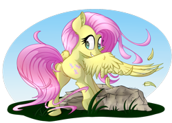 Size: 1400x1000 | Tagged: safe, artist:sentireaeris, fluttershy, pegasus, pony, feather, featureless crotch, female, grass, happy, looking back, mare, plot, rock, simple background, smiling, solo, spread wings, transparent background, wings