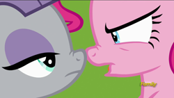 Size: 1920x1080 | Tagged: safe, screencap, maud pie, pinkie pie, pony, rock solid friendship, boop, discovery family logo, nose wrinkle, noseboop