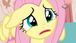 Size: 2560x1440 | Tagged: safe, screencap, fluttershy, pegasus, pony, discordant harmony, boomerang (tv channel), cute, female, floppy ears, mare, open mouth, sad, shyabetes, solo