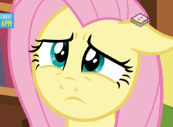 Size: 782x576 | Tagged: safe, screencap, fluttershy, pegasus, pony, discordant harmony, boomerang (tv channel), concerned, cropped, solo