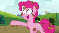 Size: 1920x1088 | Tagged: safe, screencap, pinkie pie, pony, rock solid friendship, burrs, discovery family logo, ouch, solo, stingbush seed pods