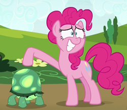 Size: 451x393 | Tagged: safe, screencap, pinkie pie, tank, pony, rock solid friendship, animal, cropped, grin, nervous, nervous grin, smiling