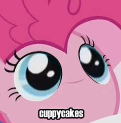 Size: 268x274 | Tagged: safe, edit, edited screencap, screencap, pinkie pie, pony, rock solid friendship, cuppycakes, meme, solo