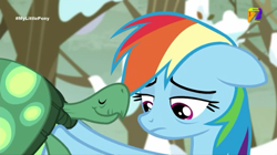 Size: 540x303 | Tagged: safe, derpibooru import, screencap, rainbow dash, tank, pegasus, pony, tanks for the memories, azteca 7, sad, tv azteca