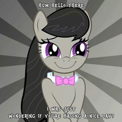 Size: 720x720 | Tagged: source needed, safe, artist:akeel465, octavia melody, earth pony, pony, :i, bronybait, c:, cute, female, have a nice day, mare, question, smiling, solo, tavibetes, vector
