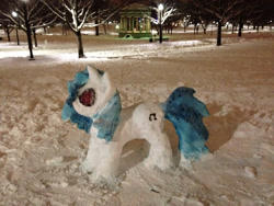 Size: 512x384 | Tagged: safe, dj pon-3, vinyl scratch, irl, photo, snow, snowpony, solo