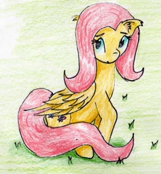 Size: 996x1080 | Tagged: safe, artist:40kponyguy, derpibooru exclusive, fluttershy, pegasus, pony, ear fluff, floppy ears, raised hoof, solo, traditional art