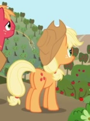 Size: 251x336 | Tagged: safe, screencap, applejack, big macintosh, earth pony, pony, applebuck season, cropped, female, male, mare, plot, stallion