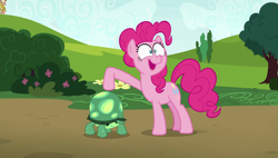 Size: 1920x1090 | Tagged: safe, screencap, pinkie pie, tank, pony, rock solid friendship, ponk