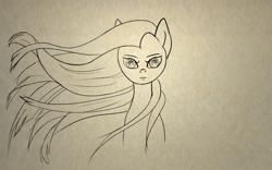 Size: 1600x1000 | Tagged: safe, artist:sycreon, fluttershy, pegasus, pony, bust, female, portrait, sketch, solo, stare, the stare, windswept mane