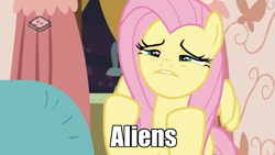 Size: 1024x576 | Tagged: safe, edit, edited screencap, screencap, fluttershy, pegasus, pony, discordant harmony, ancient aliens, giorgio a. tsoukalos, image macro, impact font, meme, solo