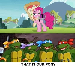 Size: 574x512 | Tagged: safe, pinkie pie, pony, rock solid friendship, donatello, leonardo, meme, michelangelo, pizza head, pizza pie, raphael, teenage mutant ninja turtles, that's my pony, that's my x