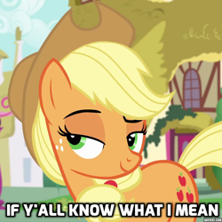 Size: 720x720 | Tagged: safe, screencap, applejack, earth pony, pony, female, if you know what i mean, lidded eyes, mare, meme, ponified meme, reaction image, solo, y'all