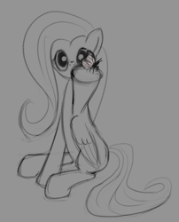 Size: 754x932 | Tagged: safe, artist:sycreon, fluttershy, butterfly, pegasus, pony, female, mare, sitting, sketch, solo