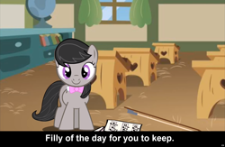 Size: 1440x936 | Tagged: safe, octavia melody, earth pony, pony, bow (instrument), bronybait, caption, cs captions, cute, filly, foal, music notes, school, sheet music, smiling, solo, tavibetes