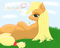 Size: 5000x4000 | Tagged: safe, artist:lordzid, applejack, earth pony, pony, blushing, grass, loose hair, on side, solo, straw