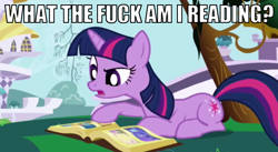 Size: 602x331 | Tagged: safe, derpibooru import, edit, edited screencap, screencap, twilight sparkle, friendship is magic, image macro, meme, prone, reaction image, solo, vulgar, what the fuck am i reading