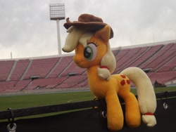 Size: 2048x1536 | Tagged: artist needed, safe, applejack, chile, irl, photo, plushie, solo, stadium