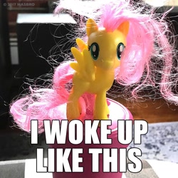 Size: 1080x1080 | Tagged: safe, fluttershy, pony, bad hair day, image macro, instagram, irl, meme, messy mane, morning ponies, official, photo, solo, toy, waking up