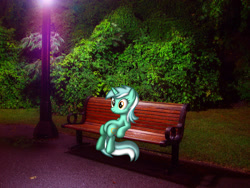 Size: 2048x1536 | Tagged: safe, artist:bonycasttle, lyra heartstrings, pony, unicorn, bench, hedge, irl, light, night, park, photo, ponies in real life, shadow, sitting, sitting lyra, smiling, solo, vector