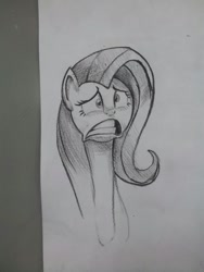 Size: 1224x1632 | Tagged: safe, artist:jchu9151, fluttershy, pegasus, pony, pencil drawing, solo, surprised, traditional art