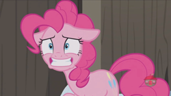 Size: 1234x692 | Tagged: safe, screencap, pinkie pie, pony, not asking for trouble, floppy ears, smiling, solo