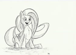 Size: 3440x2496 | Tagged: safe, artist:maneingreen, fluttershy, pegasus, pony, sketch, smiley face