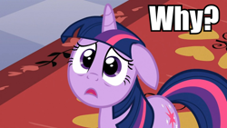 Size: 960x540 | Tagged: safe, derpibooru import, screencap, twilight sparkle, image macro, meme, solo, why