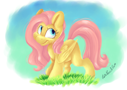 Size: 7016x4961 | Tagged: safe, artist:cutepencilcase, fluttershy, pegasus, pony, absurd resolution, female, grass, looking away, looking back, looking up, mare, missing cutie mark, smiling, solo