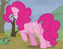 Size: 392x301 | Tagged: safe, screencap, pinkie pie, tank, earth pony, pony, tanks for the memories, cropped, female, mare, plot