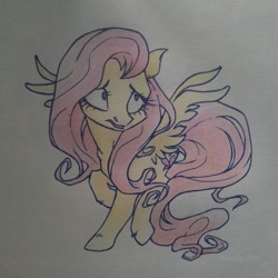 Size: 1002x1002 | Tagged: safe, artist:pandan009, fluttershy, pegasus, pony, solo, traditional art