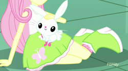 Size: 1400x771 | Tagged: safe, screencap, angel bunny, fluttershy, eqg summertime shorts, equestria girls, pet project, cute, discovery family logo, legs, petting