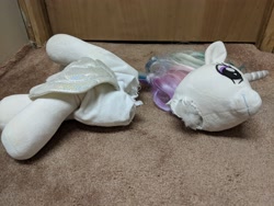 Size: 4032x3024 | Tagged: safe, princess celestia, background pony strikes again, build-a-bear, downvote bait, head, irl, op is a cuck, op is trying to start shit, photo, plushie, solo, toy, toy abuse, why