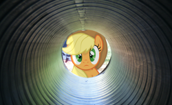 Size: 3904x2384 | Tagged: safe, artist:riniginianna, applejack, irl, looking at you, photo, pipe (plumbing), plastic, ponies in real life, solo, tube, vector