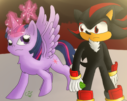 Size: 1000x800 | Tagged: safe, artist:celecrypt, derpibooru import, twilight sparkle, twilight sparkle (alicorn), alicorn, pony, chaos emerald, crossover, element of magic, female, mare, request, shadow the hedgehog, sonic the hedgehog (series)