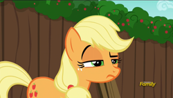 Size: 1920x1080 | Tagged: safe, screencap, applejack, earth pony, pony, the cart before the ponies, frown, raised eyebrow, unconvinced applejack