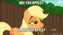 Size: 800x450 | Tagged: safe, edit, edited screencap, screencap, applejack, earth pony, pony, the cart before the ponies, caption, image macro, meme, that pony sure does love apples, unconvinced applejack