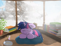 Size: 2048x1536 | Tagged: safe, artist:fuzzyfox11, derpibooru import, twilight sparkle, book, indoors, plate, sleeping, snow, snowfall