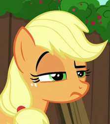 Size: 396x443 | Tagged: safe, screencap, applejack, earth pony, pony, the cart before the ponies, applejack is not amused, cropped, female, hatless, lidded eyes, mare, missing accessory, raised eyebrow, reaction image, solo, unamused, unconvinced applejack, unimpressed