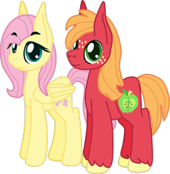 Size: 1234x1264 | Tagged: safe, artist:casanova-mew, big macintosh, fluttershy, pegasus, pony, female, fluttermac, male, shipping, simple background, straight, transparent background