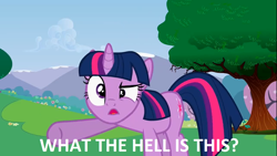 Size: 1366x768 | Tagged: safe, derpibooru import, screencap, twilight sparkle, image macro, meme, solo, vulgar