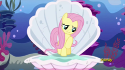 Size: 914x514 | Tagged: safe, screencap, fluttershy, pegasus, pony, fame and misfortune, birth of venus, clam, cute, discovery family logo, female, flawless, mare, ocean, pun, raised hoof, shyabetes, solo, visual pun