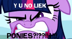 Size: 1352x730 | Tagged: safe, derpibooru import, screencap, twilight sparkle, image macro, meme, reaction image, solo, y u no