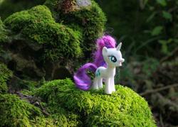 Size: 1680x1200 | Tagged: safe, artist:aquilateagle, rarity, pony, unicorn, doll, forest, messy mane, moss, photo, toy