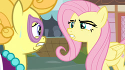 Size: 1920x1080 | Tagged: safe, screencap, fluttershy, lemon chiffon, pegasus, pony, fame and misfortune, angry, annoyed, assertive, assertive fluttershy, fanpony, fluttershy is not amused, fourth wall, glasses, larson you magnificent bastard, m.a. larson, meta, peeved, scared, sweat, unamused