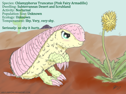 Size: 1280x960 | Tagged: safe, artist:halflingpony, fluttershy, armadillo, cactus, dandelion, desert, flower, my little x, newbie artist training grounds, pink fairy armadillo, solo, species swap