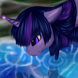 Size: 2000x2000 | Tagged: safe, artist:kinjareta, derpibooru import, twilight sparkle, dem feels, glowing horn, hilarious in hindsight, pond, reflection, solo, wet, wet mane