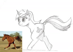 Size: 1989x1428 | Tagged: safe, anonymous artist, lyra heartstrings, /mlp/, 4chan, bipedal, cursed image, cute, drawthread, funny, funny as hell, grayscale, image macro, irl horse, meme, monochrome, pencil drawing, picture in picture, ponified animal photo, request, simple background, traditional art, two legged creature, wat, white background