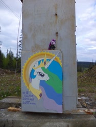 Size: 768x1024 | Tagged: safe, artist:olgfox, princess celestia, twilight sparkle, alicorn, craft, electric wire, halo, irl, painting, photo, plushie, power station, traditional art