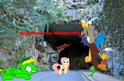 Size: 2000x1300 | Tagged: safe, artist:didgereethebrony, discord, fluttershy, oc, oc:didgeree, pegasus, pony, digital art, jenolan caves, scared